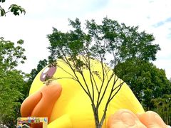-东南花都花博园