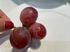 -四季民福烤鸭店(王府井灯市口店)