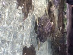 郑州海洋馆-郑州海洋馆