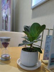 -美莱医疗美容医院