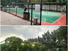 -东升文体公园