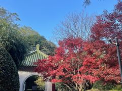 -中山公园