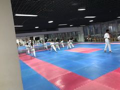 -陈中跆拳道(中关村馆)