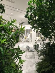 -MuseMarry婚纱(前海嘉里中心店)