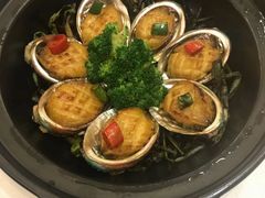 -北海渔村酒楼·粤菜海鲜点心(新华店)