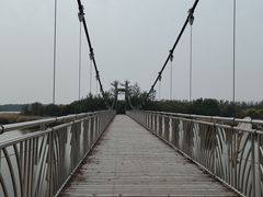 -西青郊野公园