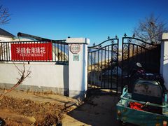 -华强阁菊花宴自助火锅店