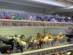 -TOYSRUS玩具反斗城(深圳万象城店)