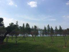 -松山湖南湖湾露营营地