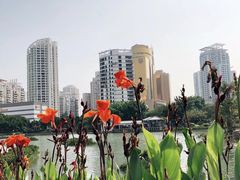 -江头公园