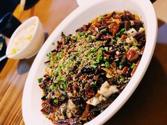 黑鱼花-三猫黑鱼花(南大店)