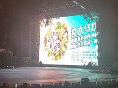 -广州长隆国际大马戏
