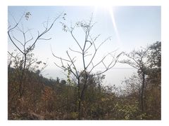 -巢湖姥山岛