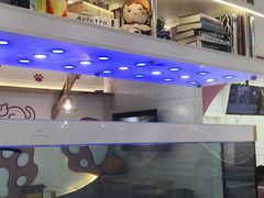 -喵园·猫主题咖啡厅·撸猫·猫咖(国贸店)