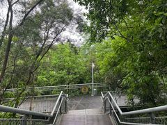 -佛山华盖山公园