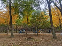 -长白岛森林公园