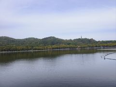 -楼外楼(西湖景区孤山路店)