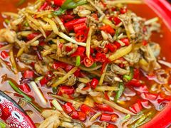 仔姜奇猫儿-拈一筷子·宜宾江湖菜(十一街店)