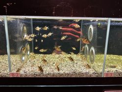 -造物庄园 萌宠纪(苏州湾歌林公园店)