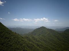 -栾川竹海野生动物园