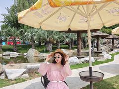 -南京银杏湖乐园