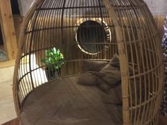 -汤森悠生活文化汤(江宁万达店)