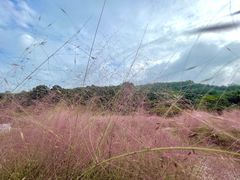 -南北湖风景区
