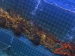 -启东小海鲜(庄先湾路1号店)