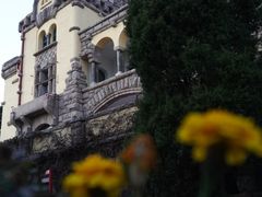 -青岛德国总督楼旧址博物馆