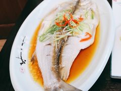 清蒸白水鱼-紅楼酒家(朱家角店)
