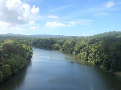 -热带雨林自然公园