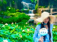 -广州莲花山旅游区