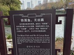 -包公祠