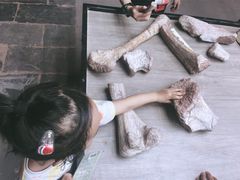 -世界恐龙谷景区