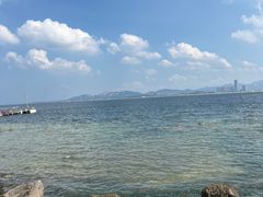 -养马岛旅游度假区