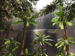 -宁波东港喜来登酒店