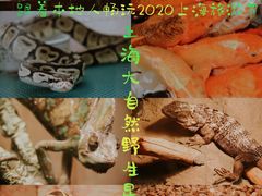 -上海大自然野生昆虫馆(东方明珠·爬宠昆虫探索中心)