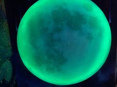 -梵高星空艺术馆(北京旗舰店)