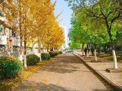 -杭州电子科技大学(下沙校区)