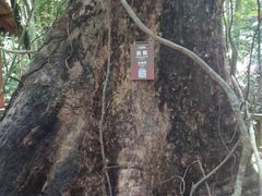 -七仙岭温泉国家森林公园