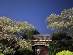 -天津妈祖文化园