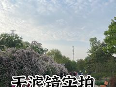 -老君堂公园