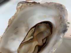 -映像威海·威海宴(威高广场店)