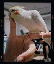 -Zoolung Zoolung动物主题公园(海信广场店)