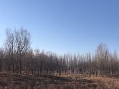 -东郊湿地公园