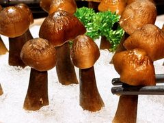 -鲜入唯煮·港式海鲜牛肉火锅(金宝街店)