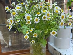 -Line 咖啡(石厦花园店)