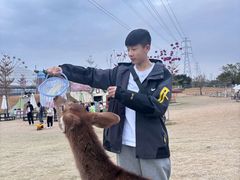 -盈香心动乐园