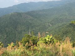 -海南霸王岭国家森林公园