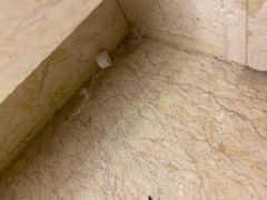 -北京园博大酒店